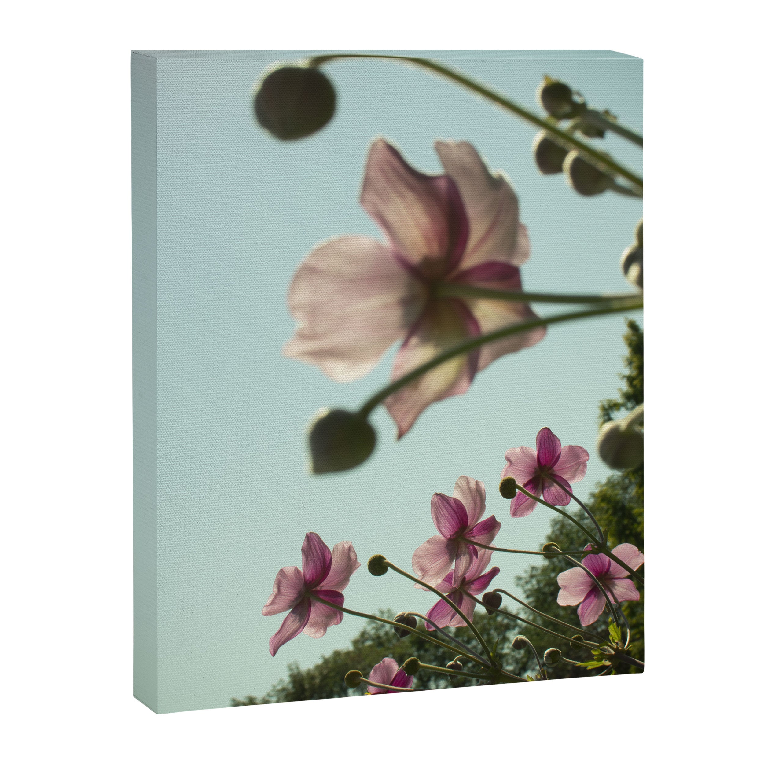 Aloft - rose pink autumn flower photo floral  Canvas Print Gallery Image 6