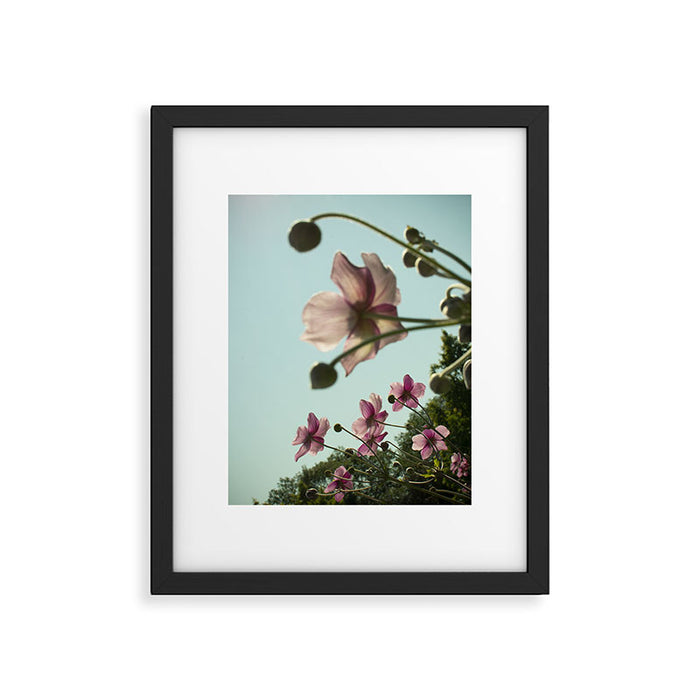 Aloft - rose pink autumn flower photo floral  Framed Art Print Gallery Image 1