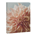 Always the Optimist  pink dahlia botanical flower photograph Canvas Print Gallery Image 6