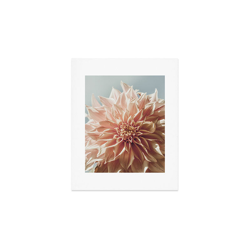Always the Optimist  pink dahlia botanical flower photograph Art Print Gallery Image 1
