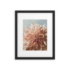 Always the Optimist  pink dahlia botanical flower photograph Framed Art Print Gallery Image 5