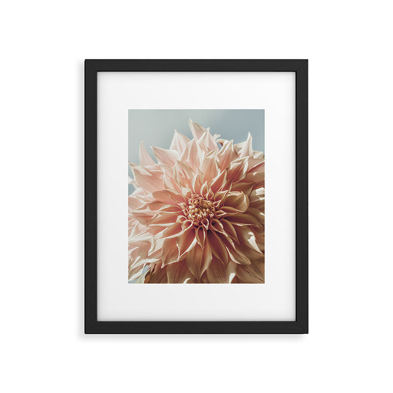 Always the Optimist  pink dahlia botanical flower photograph Framed Art Print Gallery Image 5