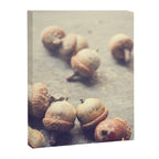 Autumn Acorns Canvas Print Gallery Image 6