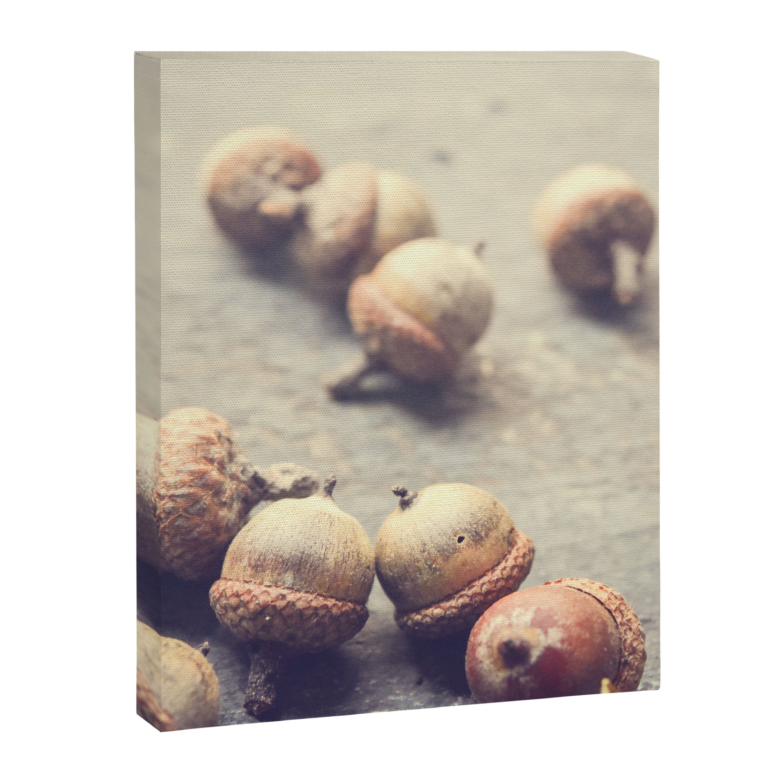 Autumn Acorns Canvas Print Gallery Image 6