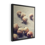 Autumn Acorns Framed Canvas Print Gallery Image 2