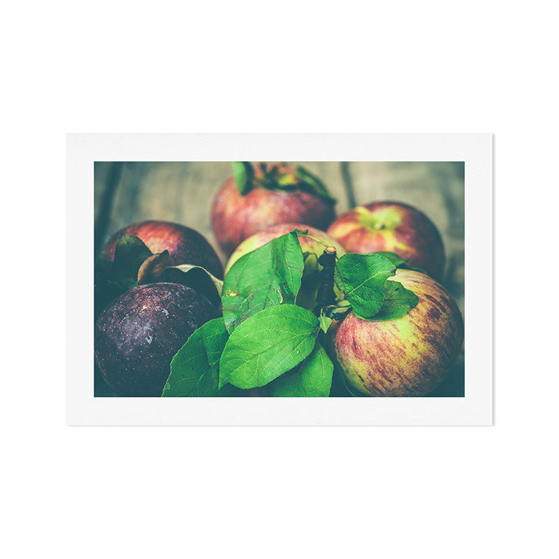 Autumn Apples Art Print Gallery Image 1