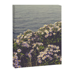 autumn asters by the sea - wildflower botanical photograph Canvas Print Gallery Image 6