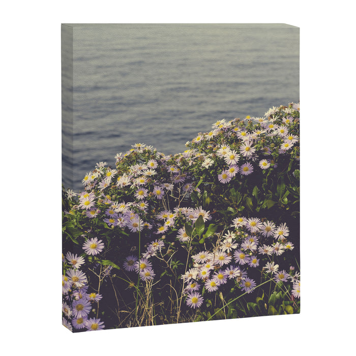 autumn asters by the sea - wildflower botanical photograph Canvas Print Gallery Image 1