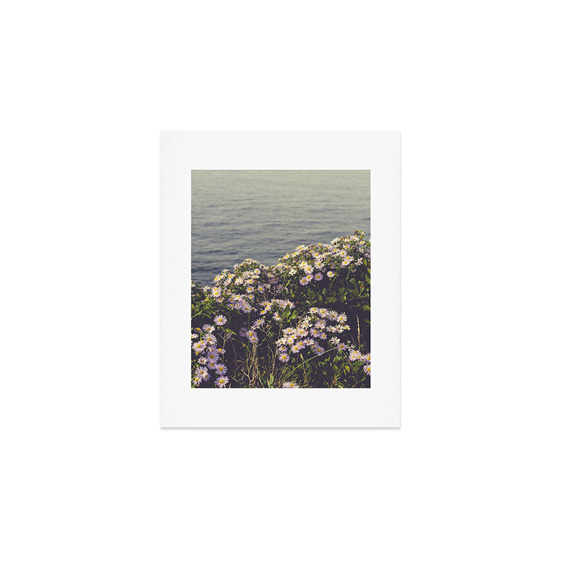 autumn asters by the sea - wildflower botanical photograph Art Print Gallery Image 1