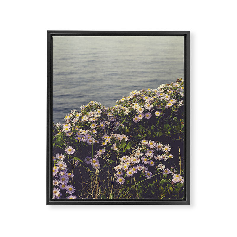 autumn asters by the sea - wildflower botanical photograph Framed Canvas Print Gallery Image 6