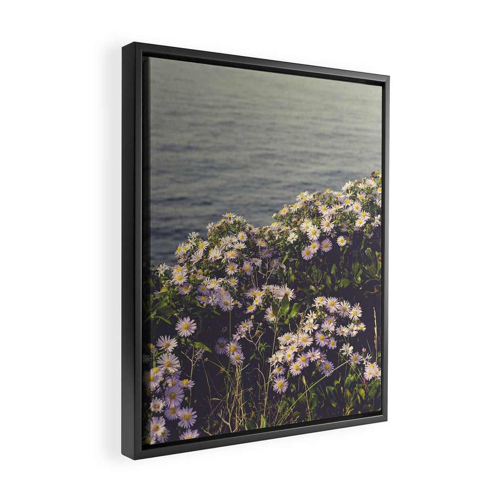 autumn asters by the sea - wildflower botanical photograph Framed Canvas Print Gallery Image 2