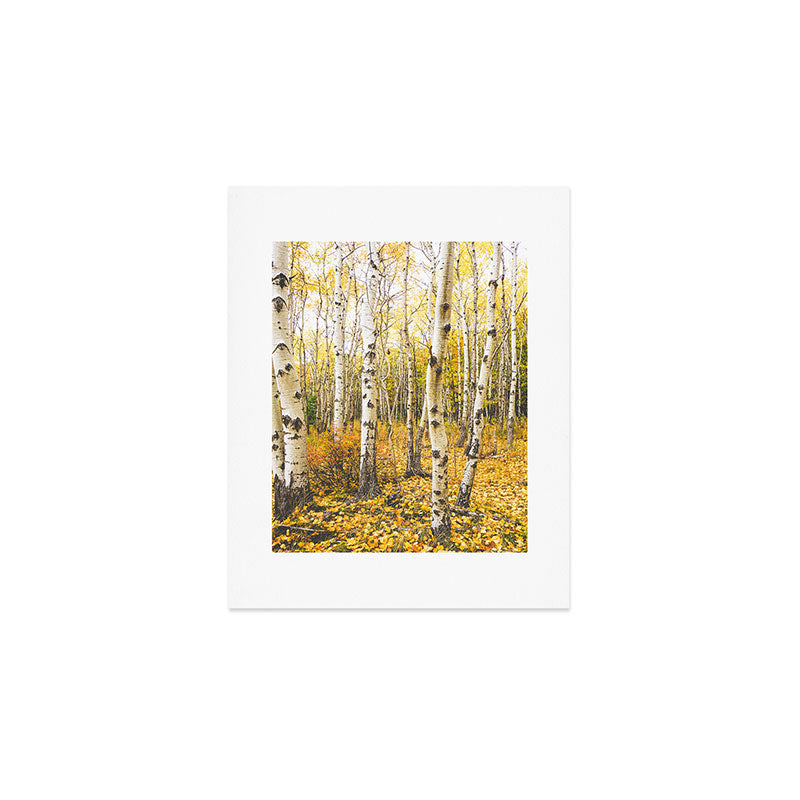 Autumn Birch Forest Art Print Gallery Image 1