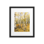 Autumn Birch Forest Framed Art Print Gallery Image 5