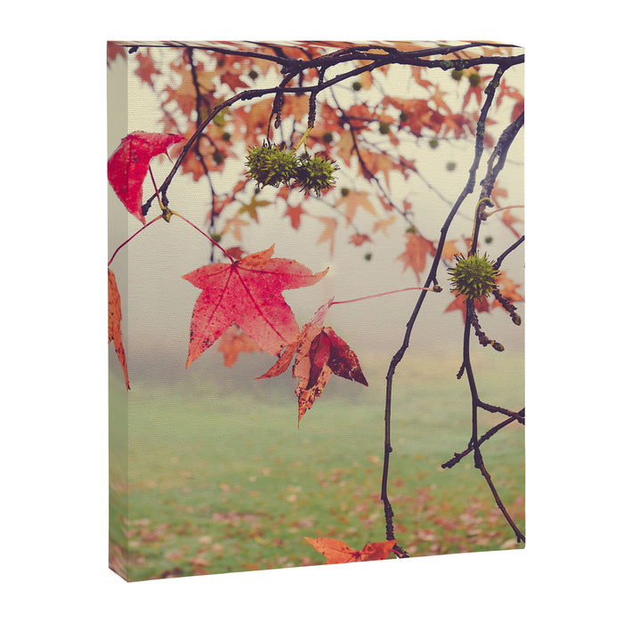 Autumn Dreams - fall color nature photograph Canvas Print Gallery Image 1
