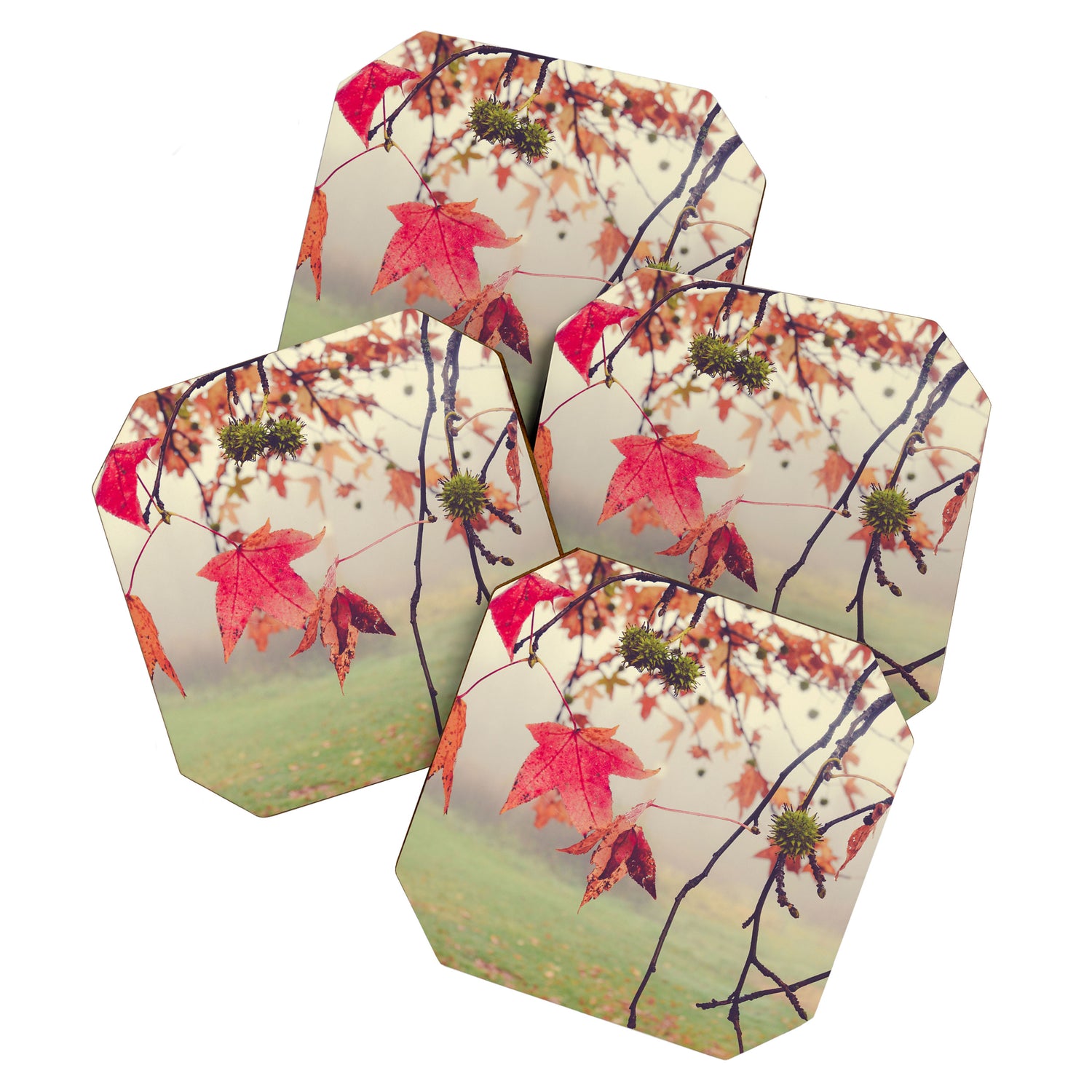 Autumn Dreams - fall color nature photograph Coaster Gallery Image 1