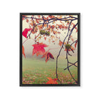 Autumn Dreams - fall color nature photograph Framed Canvas Print Gallery Image 6