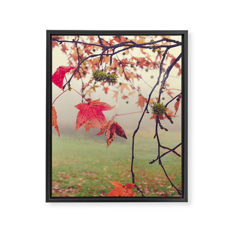 Autumn Dreams - fall color nature photograph Framed Canvas Print Gallery Image 6