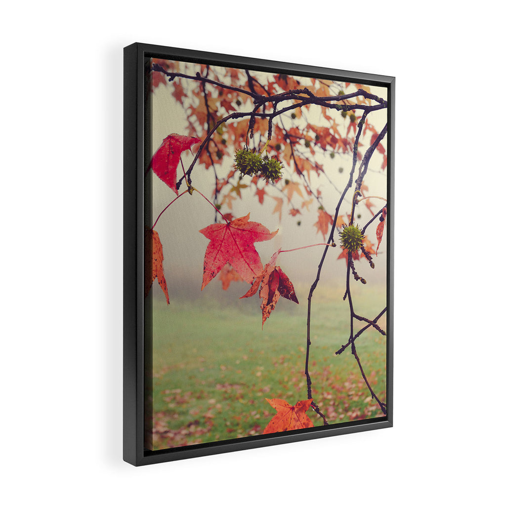 Autumn Dreams - fall color nature photograph Framed Canvas Print Gallery Image 2