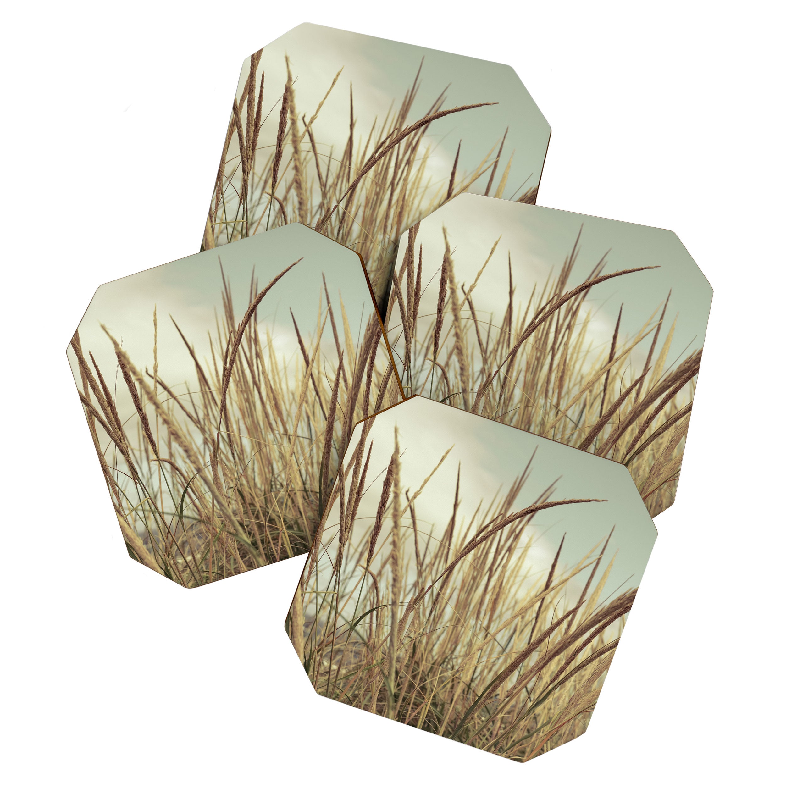 autumn dune grass Coaster Gallery Image 1