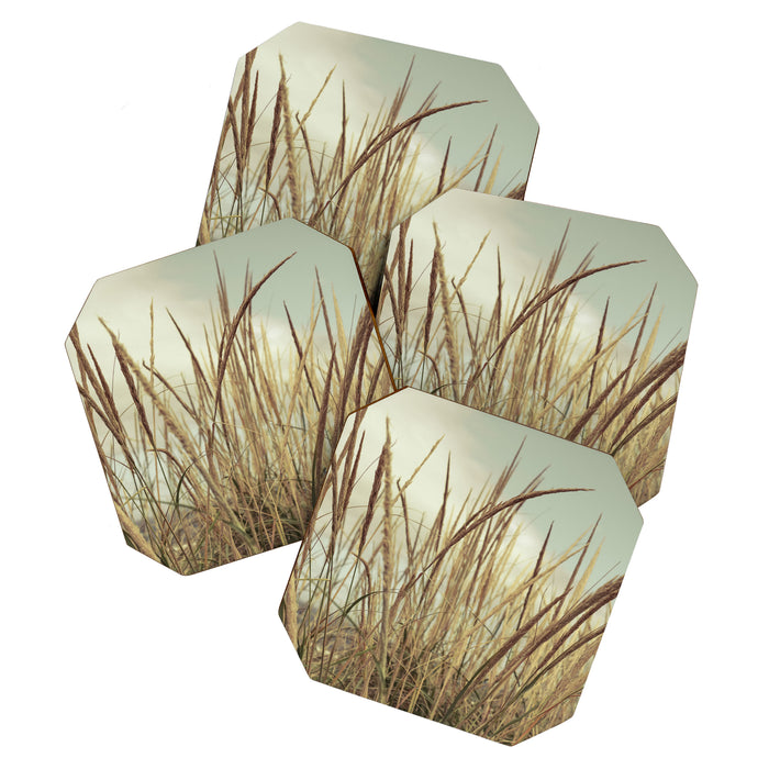 autumn dune grass Coaster Gallery Image 1