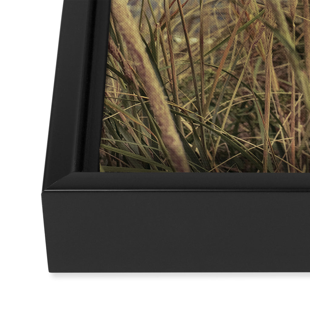 autumn dune grass Framed Canvas Print Gallery Image 3