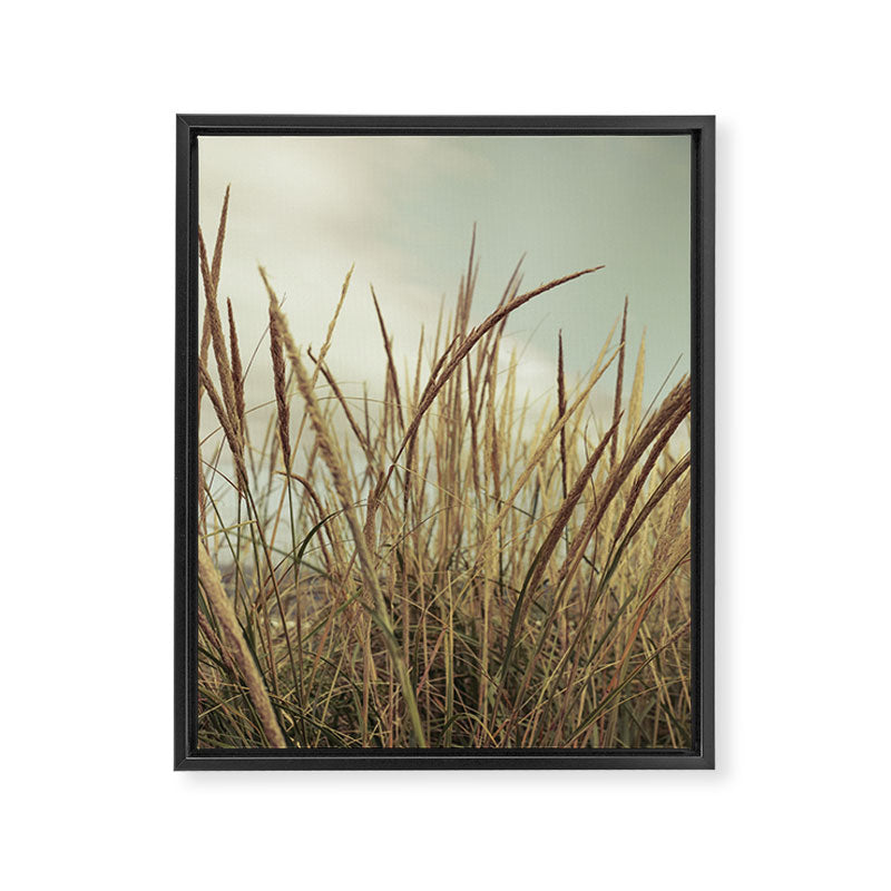 autumn dune grass Framed Canvas Print Gallery Image 6