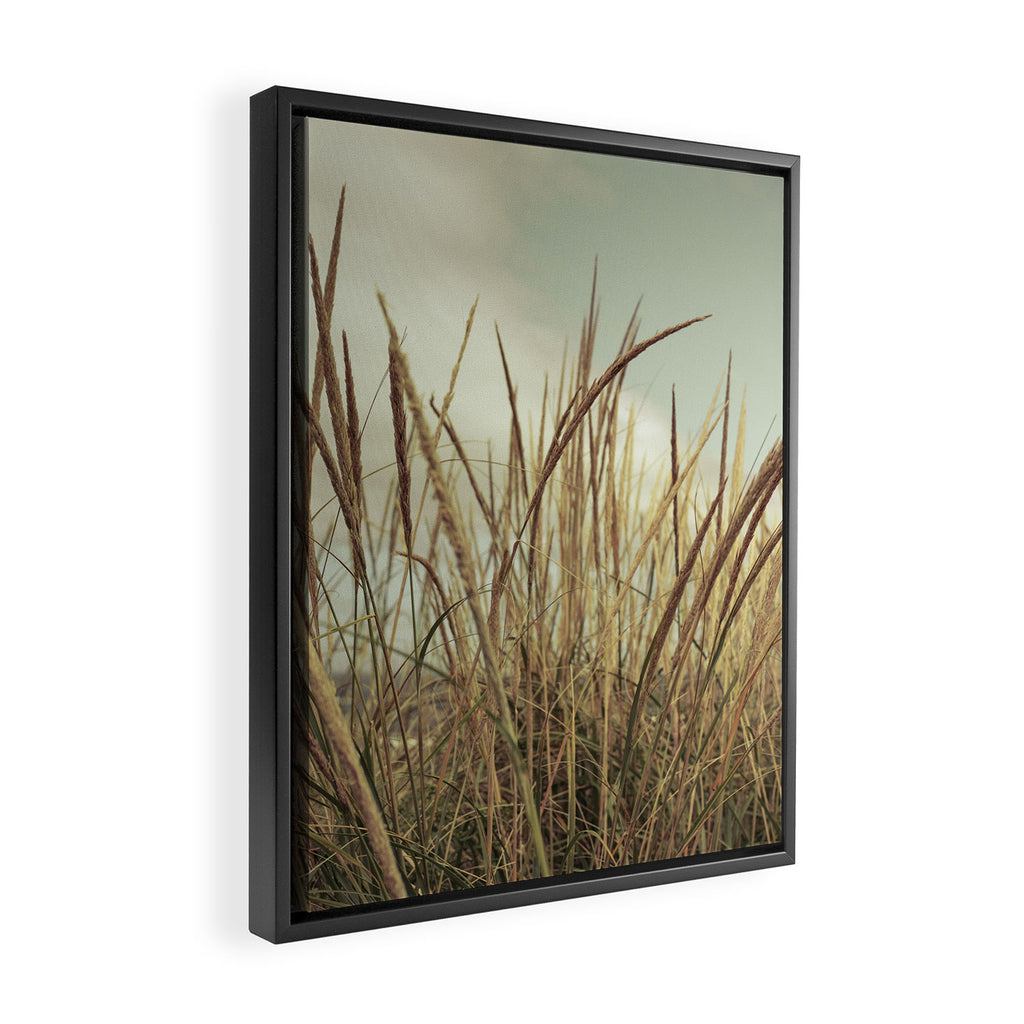 autumn dune grass Framed Canvas Print Gallery Image 2