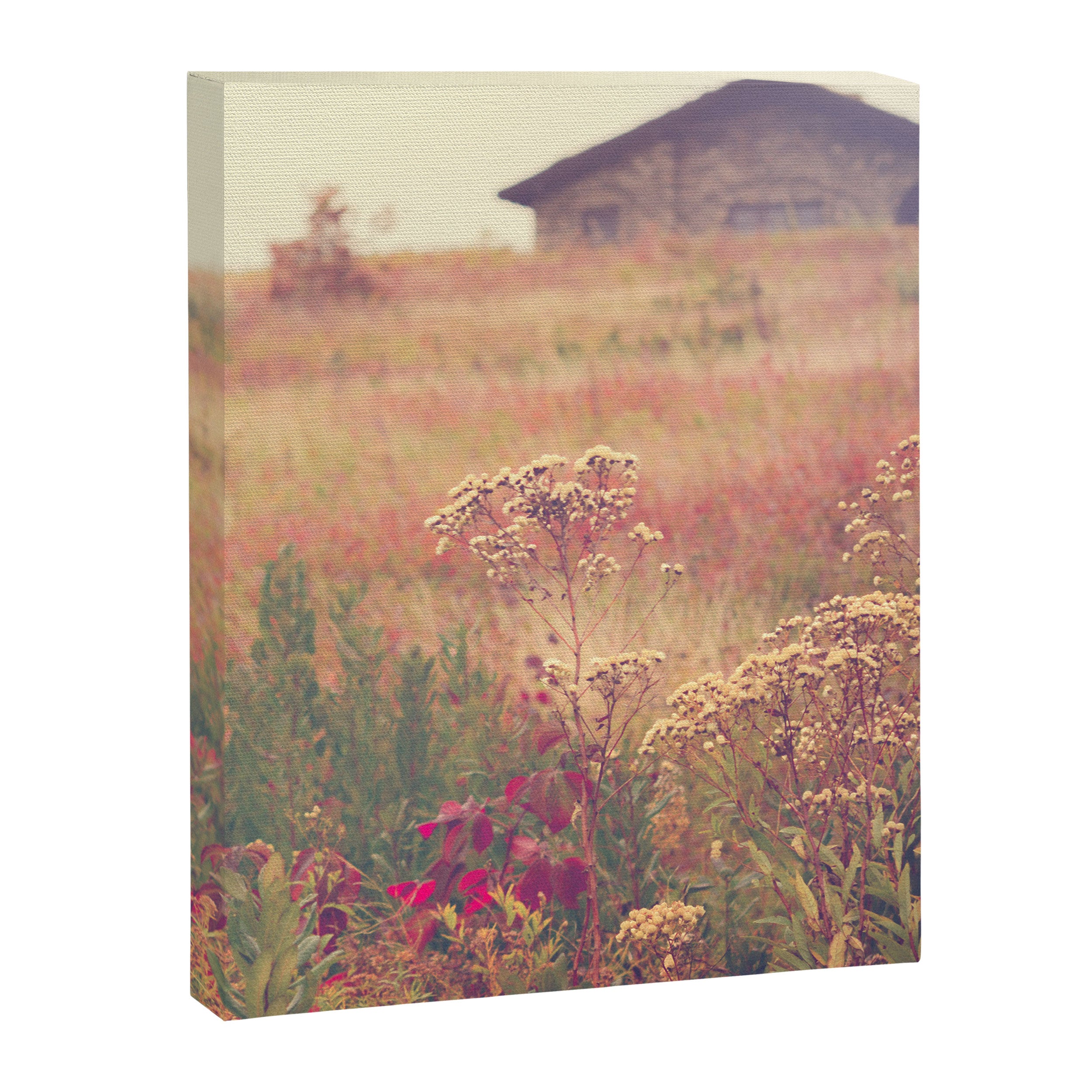 Autumn in New England Canvas Print Gallery Image 6