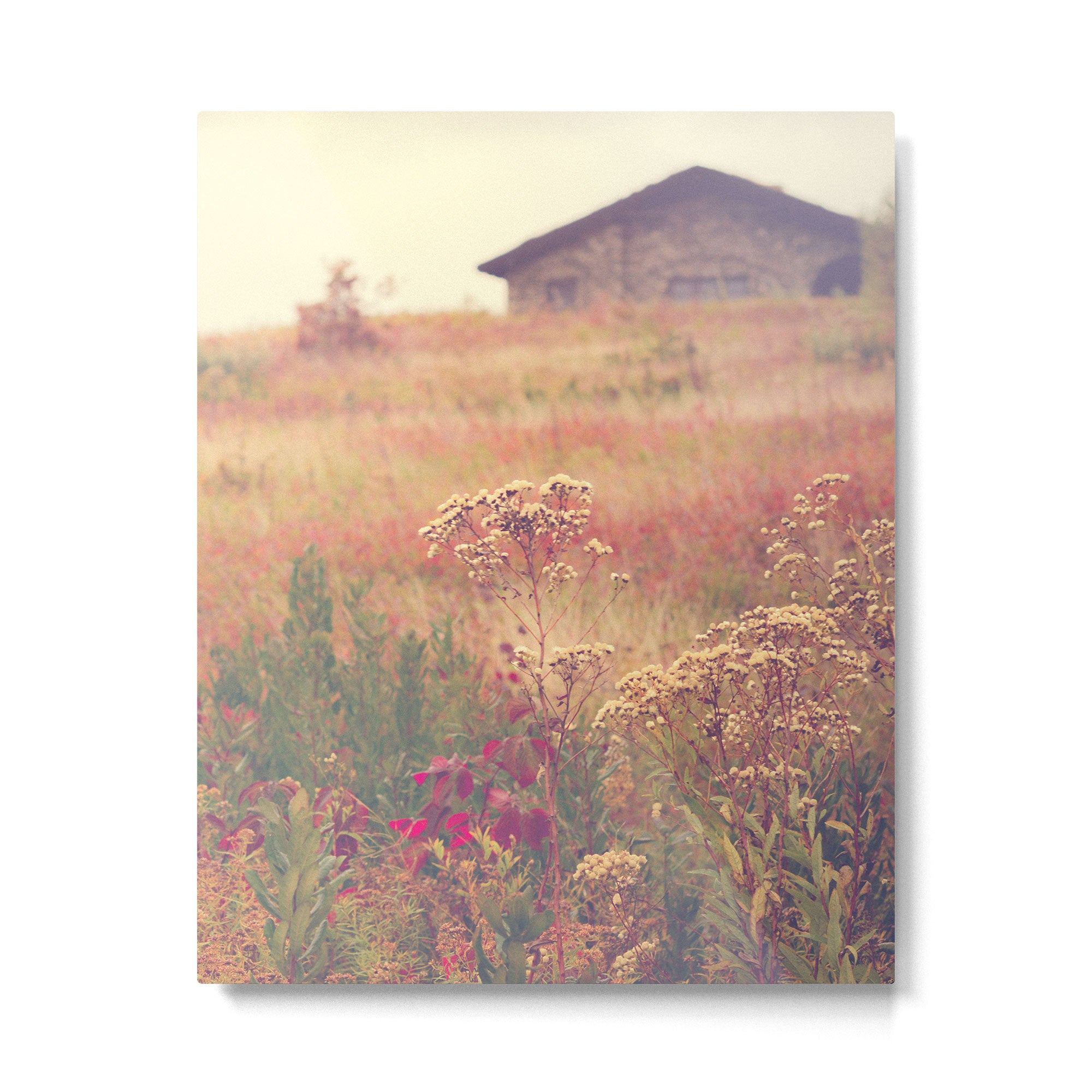 Autumn in New England Metal Print Gallery Image 4