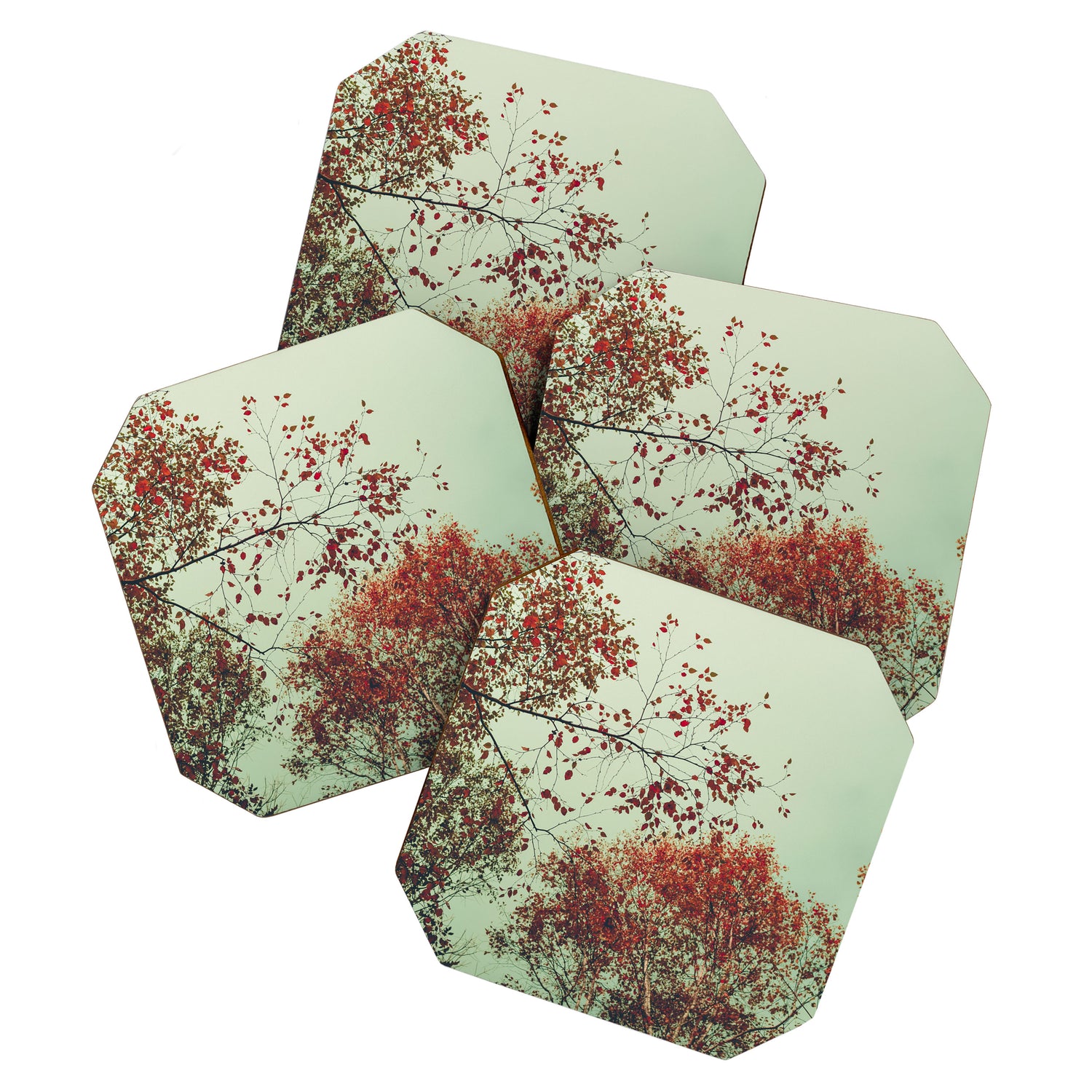 Autumn Memories Coaster Gallery Image 1