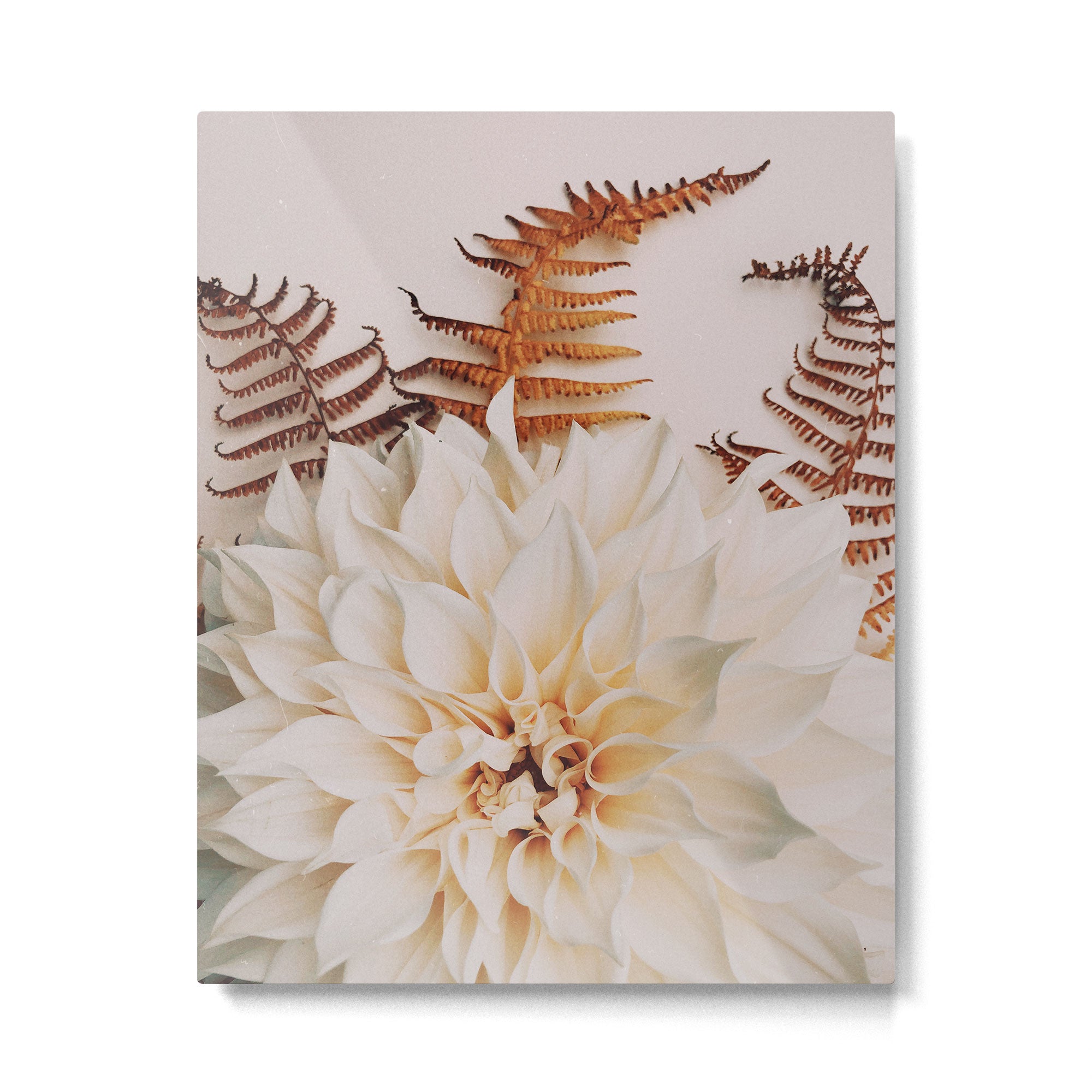 Autumn Mood #2 - Modern Botanical Photograph Metal Print Gallery Image 4