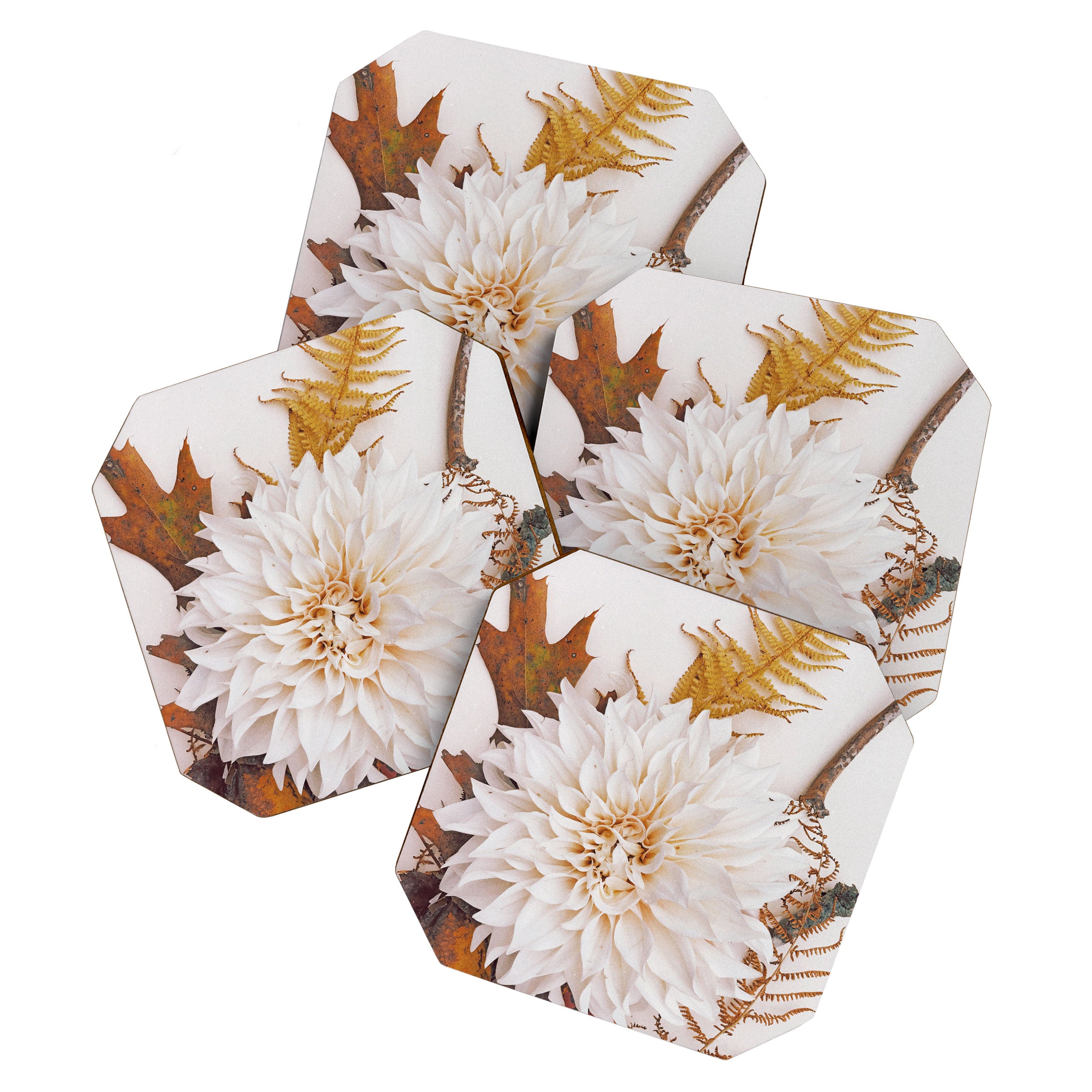Autumn Mood #3 - Modern Botanical Photograph Coaster Gallery Image 1