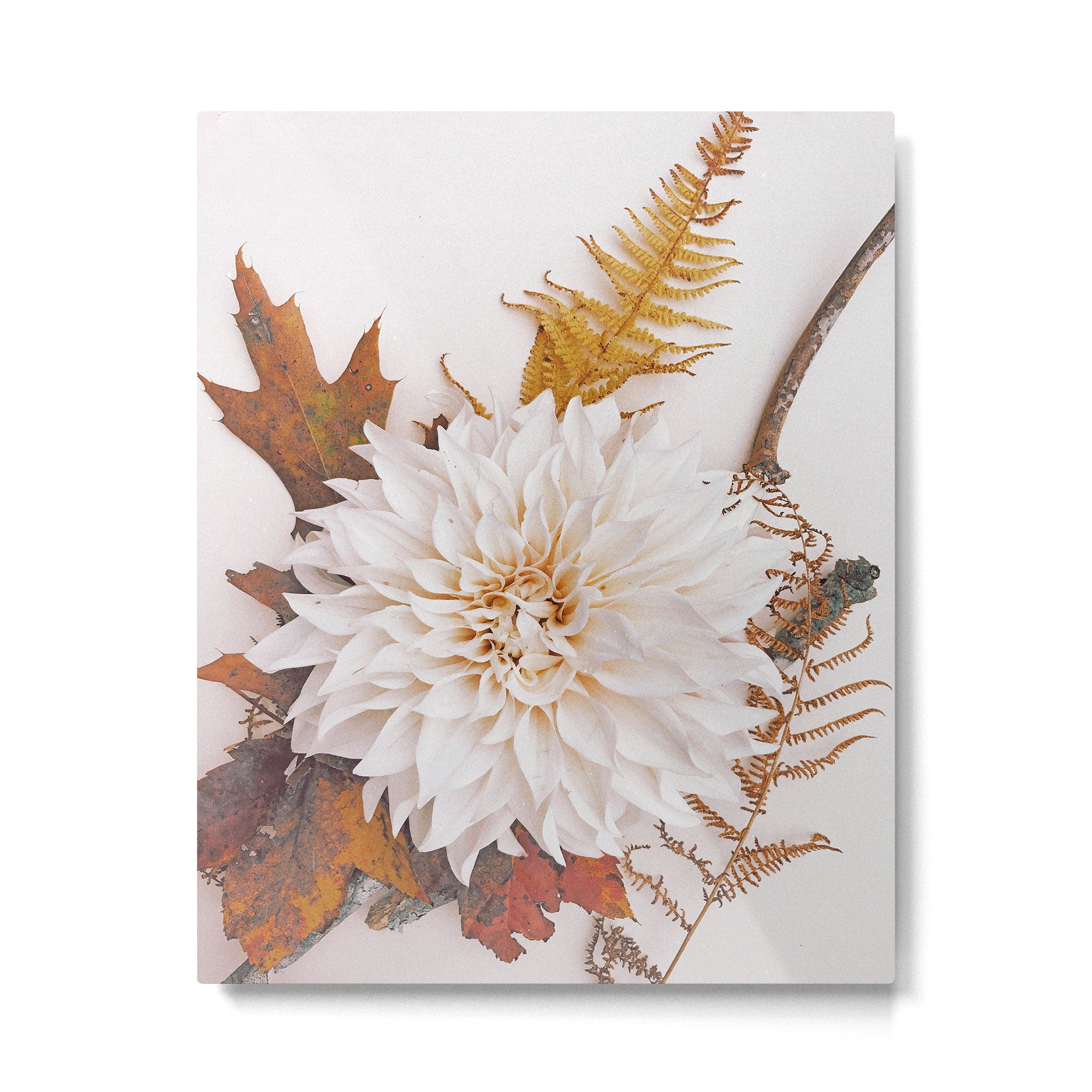 Autumn Mood #3 - Modern Botanical Photograph Metal Print Gallery Image 4