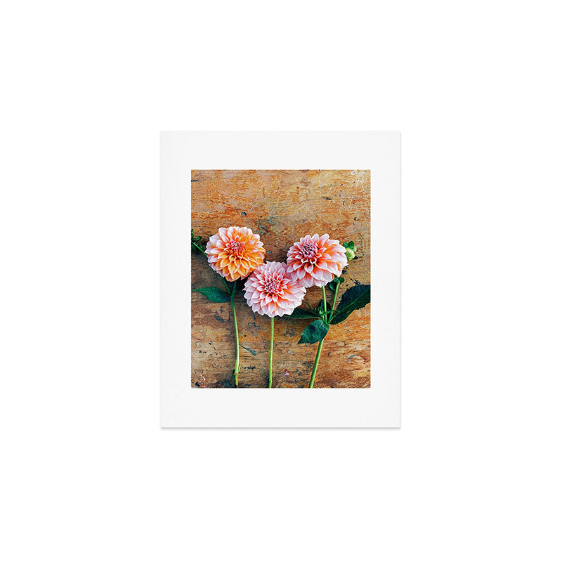 Autumn Mood number 1  Botanical autumn dahlia flower Photograph Art Print Gallery Image 1