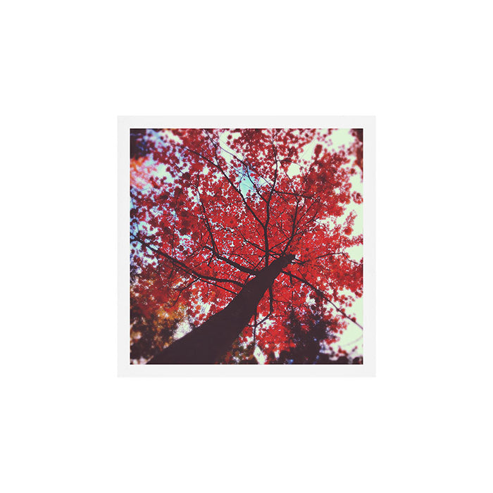 Autumn Red 2 Art Print Gallery Image 1