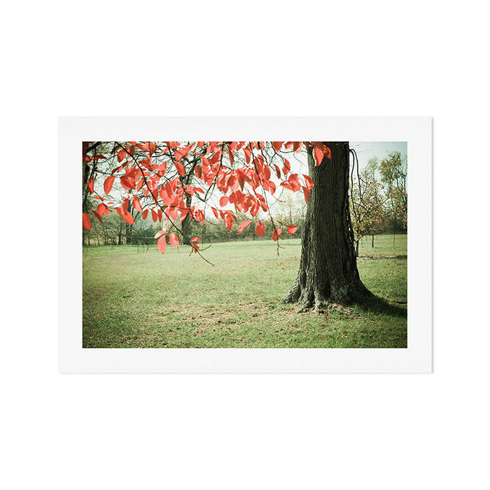 Autumn Red Art Print Gallery Image 1