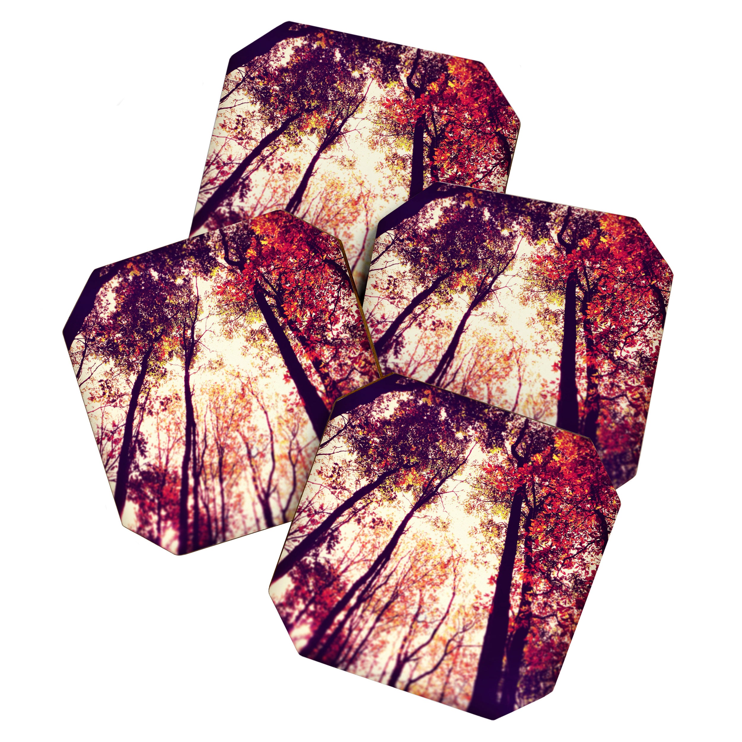 Autumn Red Coaster Gallery Image 1