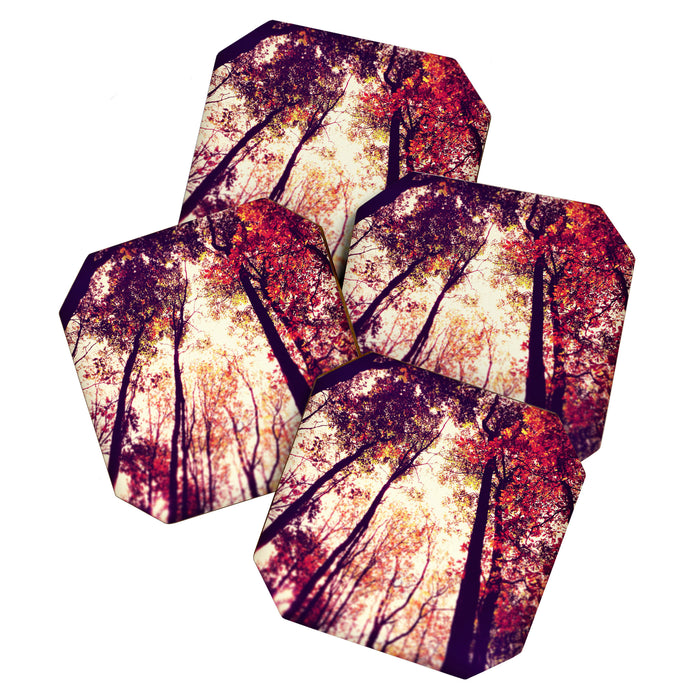 Autumn Red Coaster Gallery Image 1