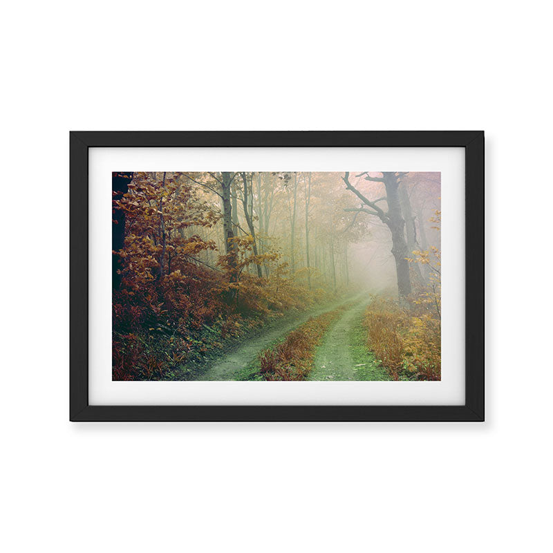 Autumn Road Framed Art Print Gallery Image 2