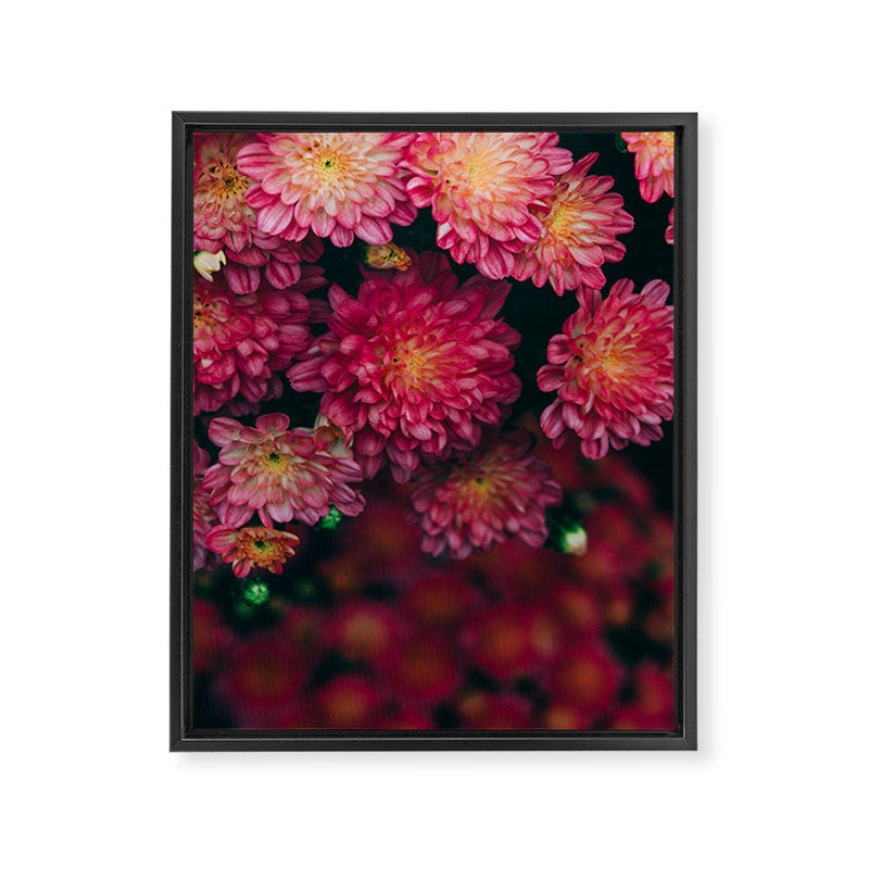 Autumn Vibes - Boho Rose Flowers Framed Canvas Print Gallery Image 6