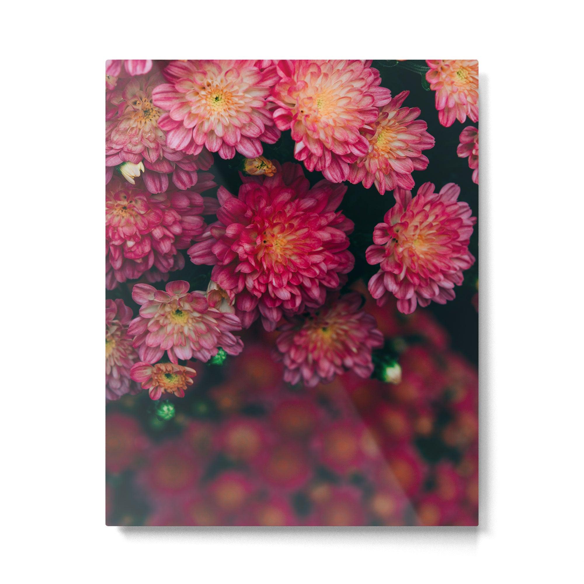 Autumn Vibes - Boho Rose Flowers Metal Print Gallery Image 4