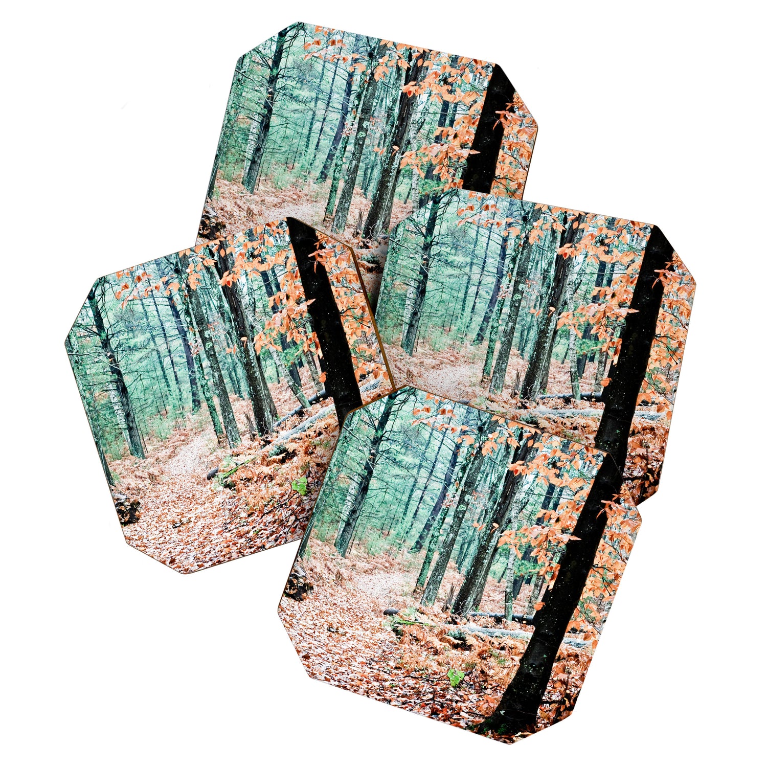 Autumn Woodland Coaster Gallery Image 1