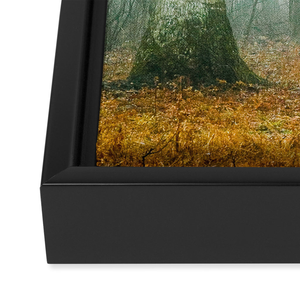 Autumn Woods Framed Canvas Print Gallery Image 3