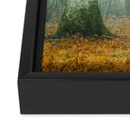 Autumn Woods Framed Canvas Print Gallery Image 3