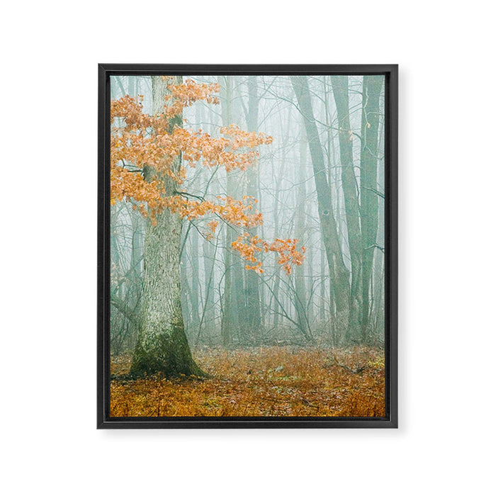 Autumn Woods Framed Canvas Print Gallery Image 1