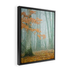 Autumn Woods Framed Canvas Print Gallery Image 2