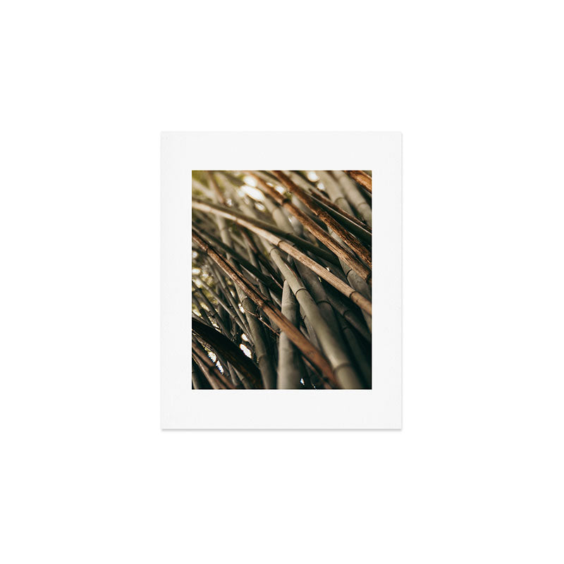 Bamboo Study 2 Art Print Gallery Image 1