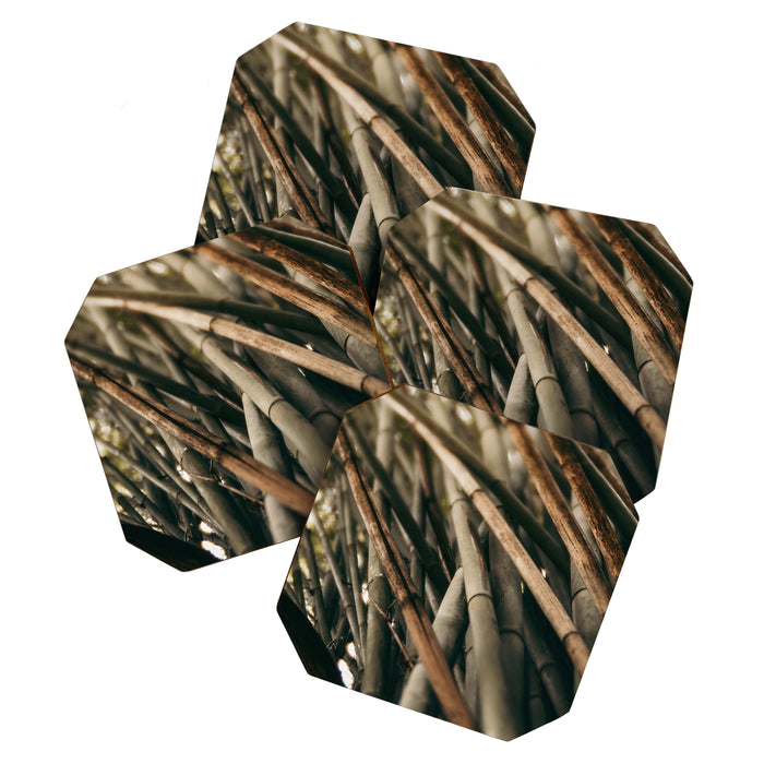 Bamboo Study 2 Coaster Gallery Image 1