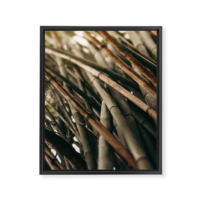 Bamboo Study 2 Framed Canvas Print Gallery Image 6