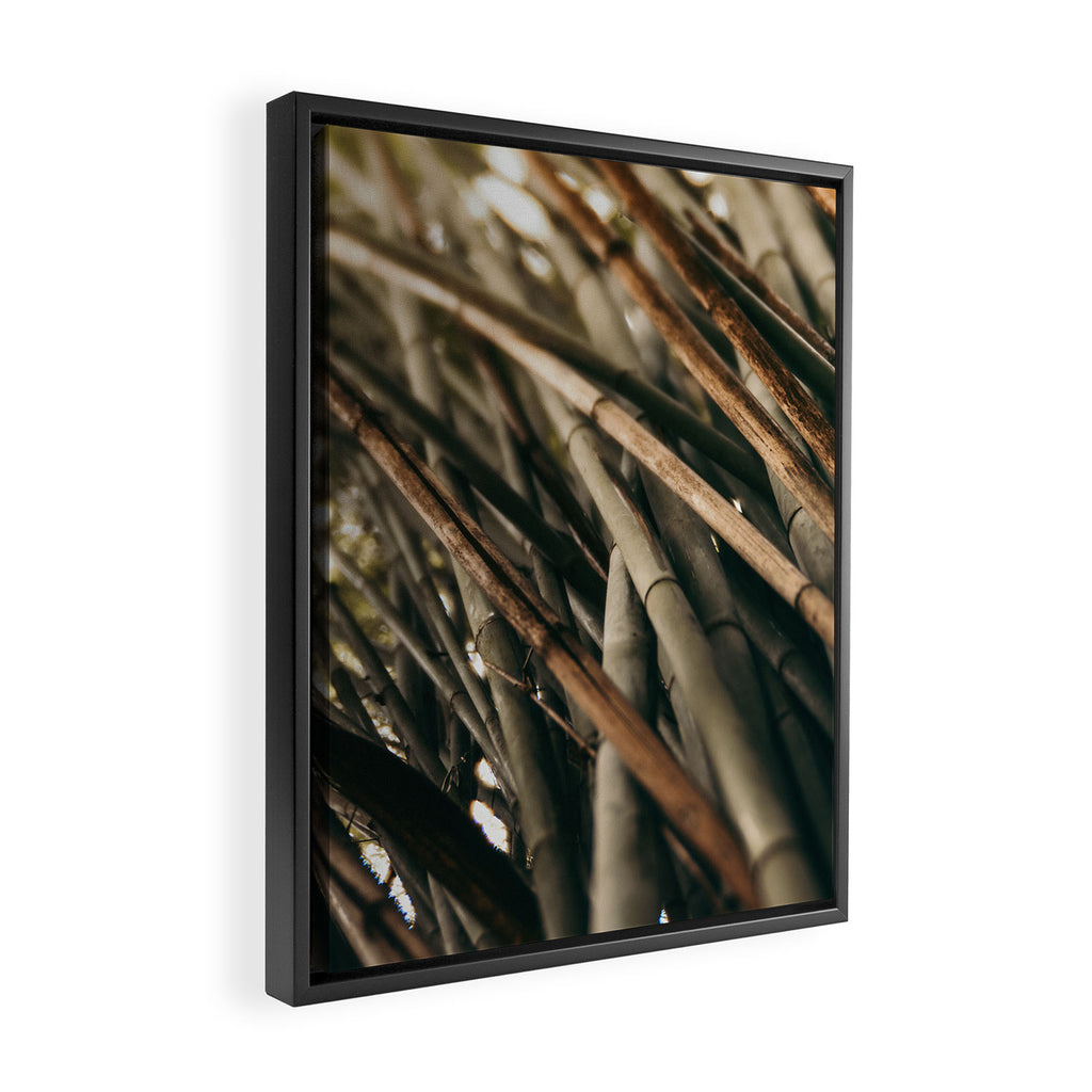 Bamboo Study 2 Framed Canvas Print Gallery Image 2